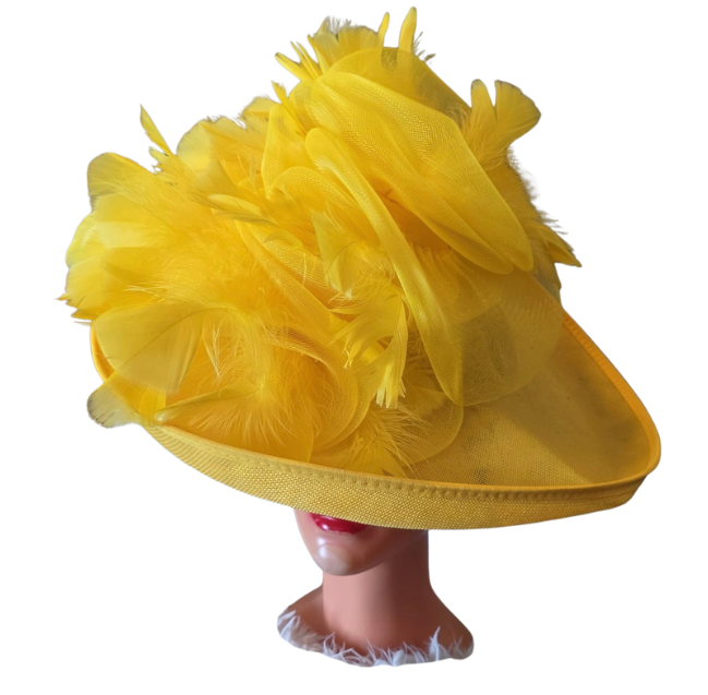 Stylish Women’s Fashion Hat