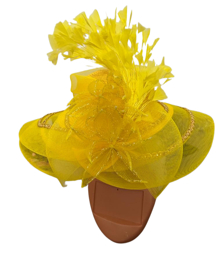 Stylish Women’s Fashion Hat